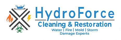 Hydroforce-Cleaning-Systmes-Logo