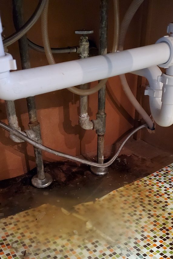 Water Damage under Sink - Pipe Leak