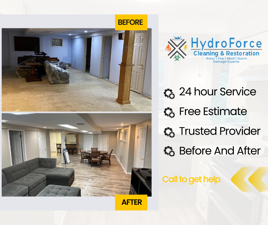 Mold Remediation Services by Hydroforce Restoration