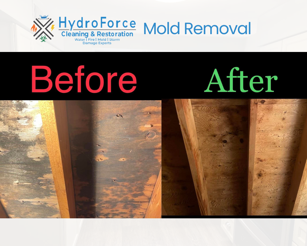 mold remediation in attic before and after - HydroForce Restoration
