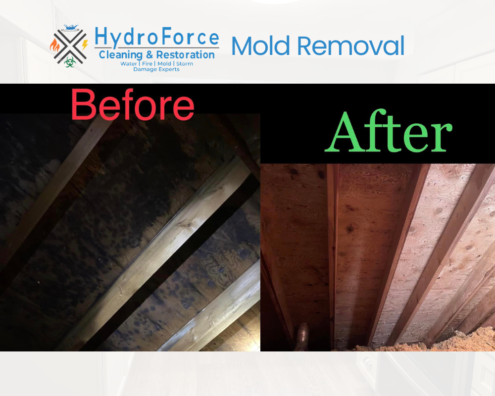 mold removal in attic before and after - HydroForce Restoration
