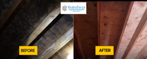 Remove Mold in the Attic before and after