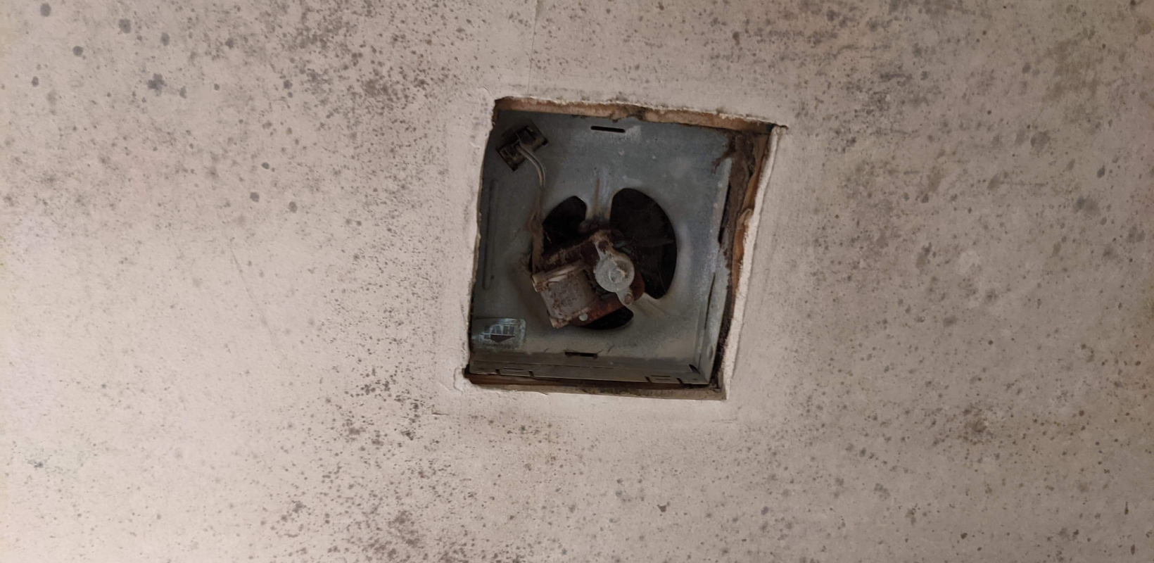 mold growing on the apartment ceiling