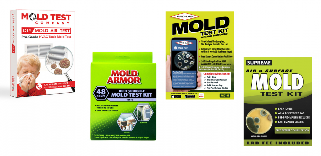 Mold Removal & Remediation in Chicago IL Mold Growth Cleanup
