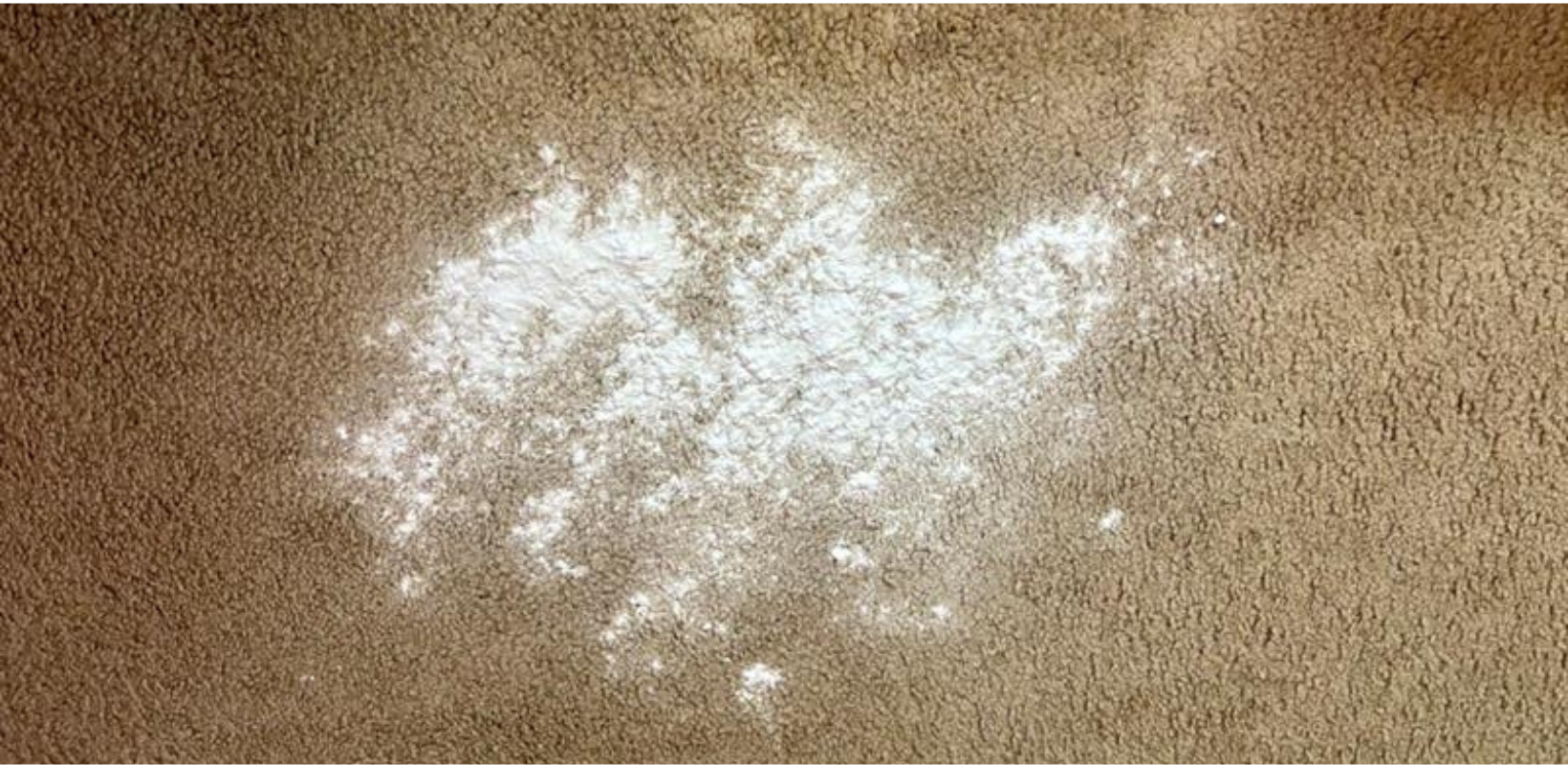 Use baking soda to kill mold on carpet