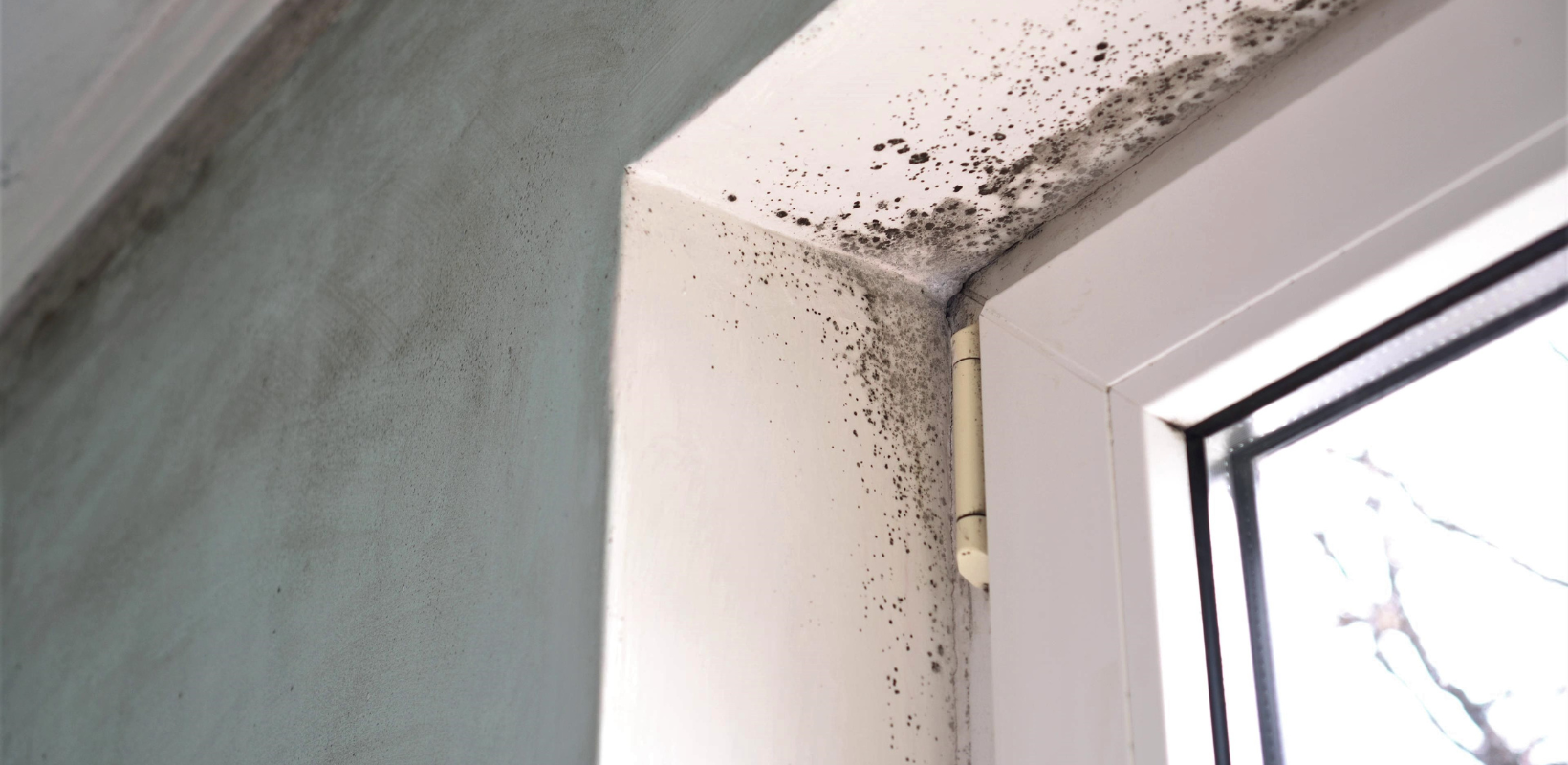 How to Remove Mold from the Caulk Around the Kitchen Sink