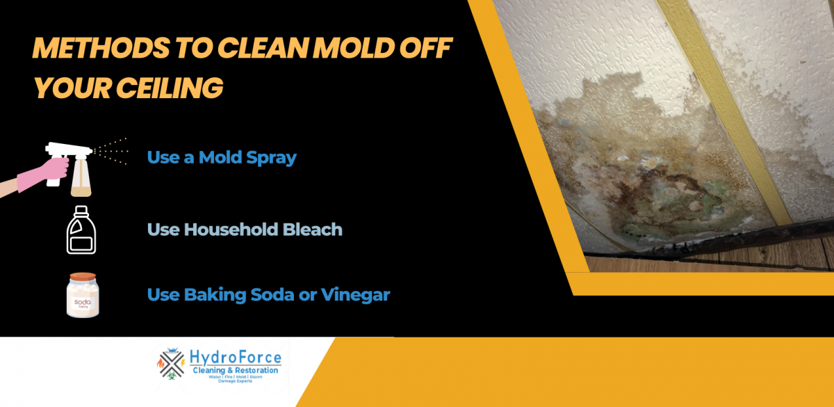 How to Remove Mold from Painted Ceilings (Step-by-Step Guide)