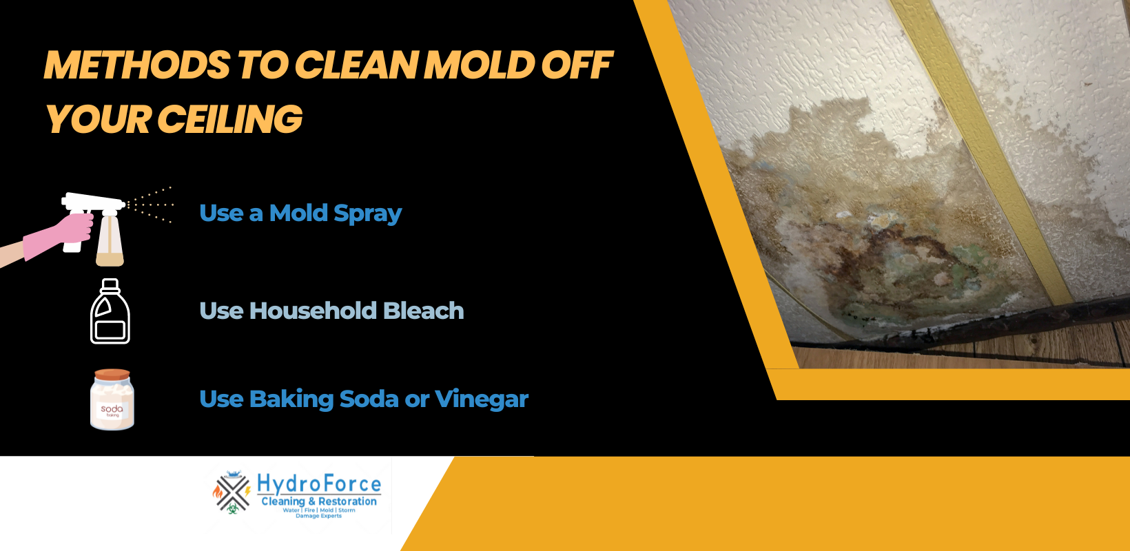 Methods to Clean Mold Off Your Ceiling