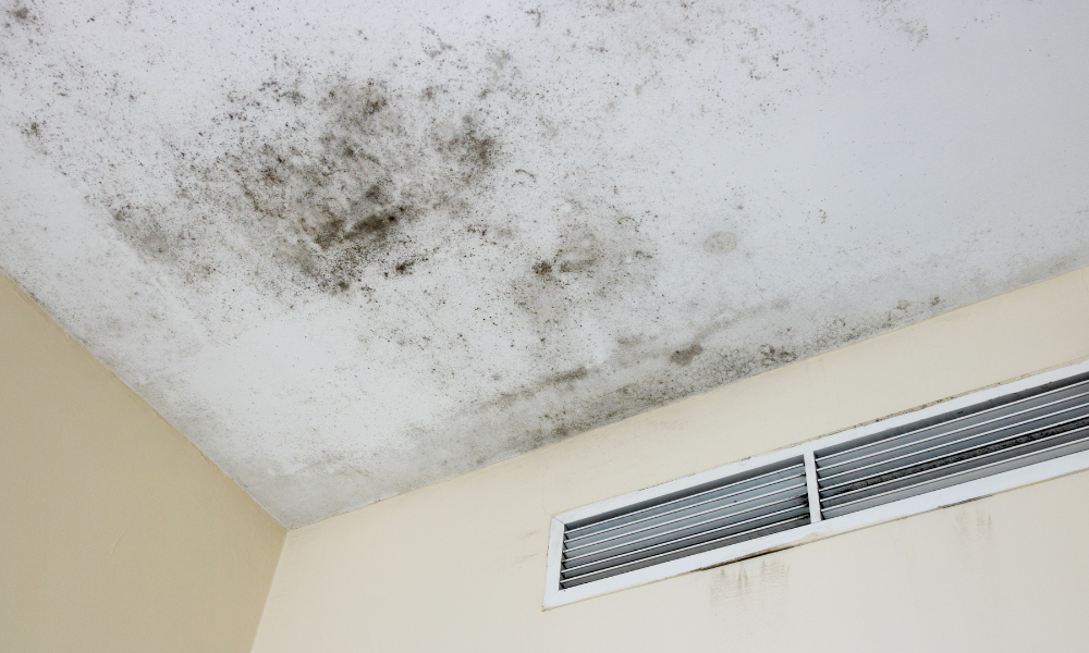 How to Remove Mold from Painted Ceilings