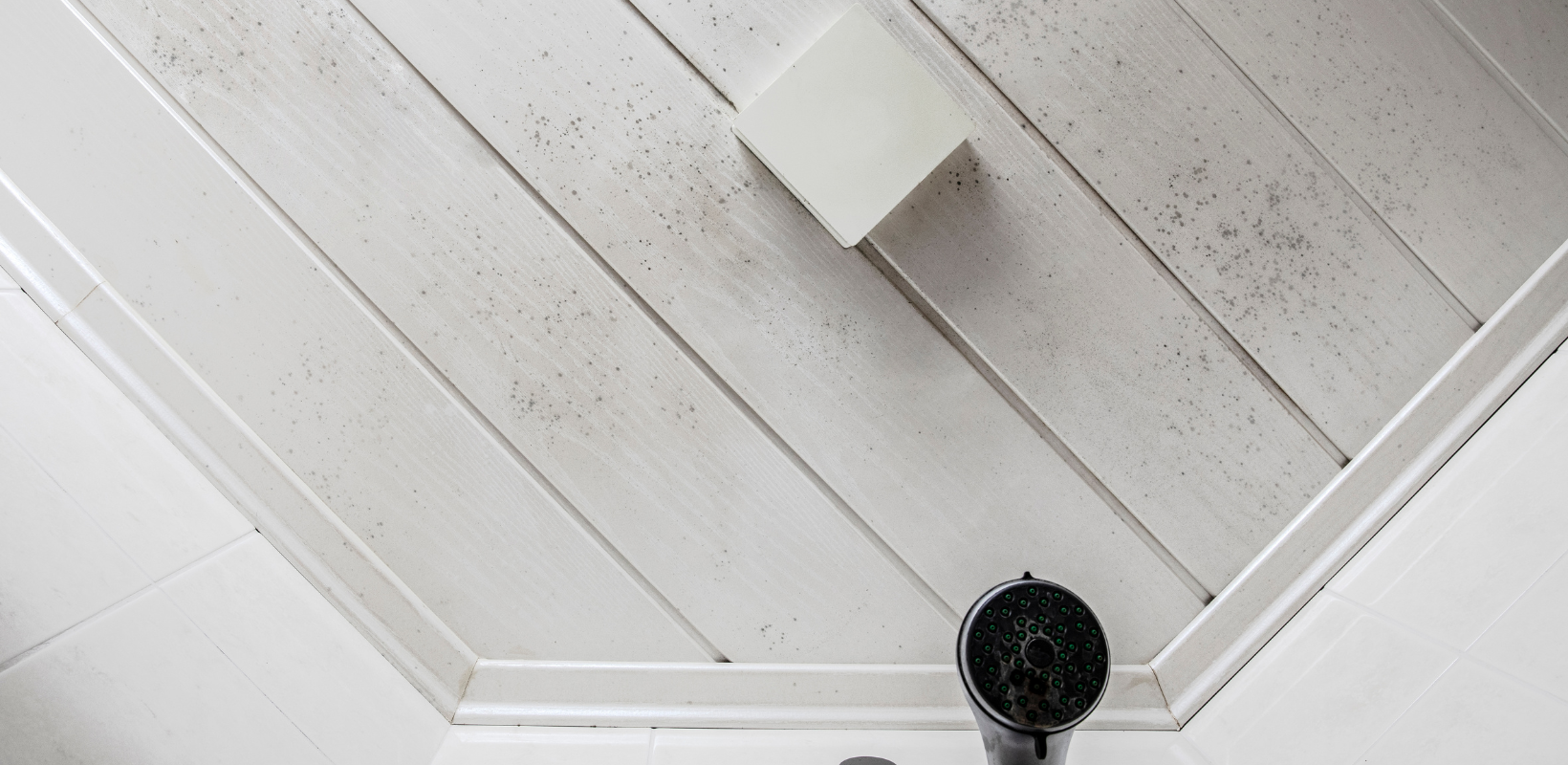 mold build-up on bathroom ceiling