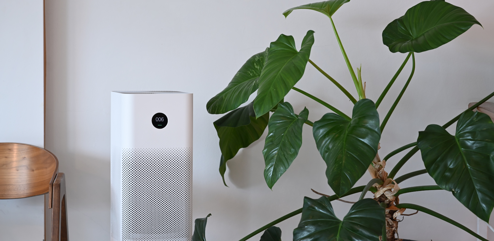 Air Out Your Home with Air purifier and houseplant in living room.