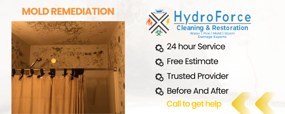 Mold Remediation - HydroForce Cleaning & Restoration