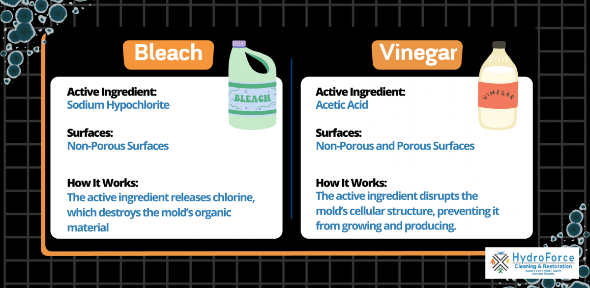 Is Bleach or Vinegar Better for Killing Mold?