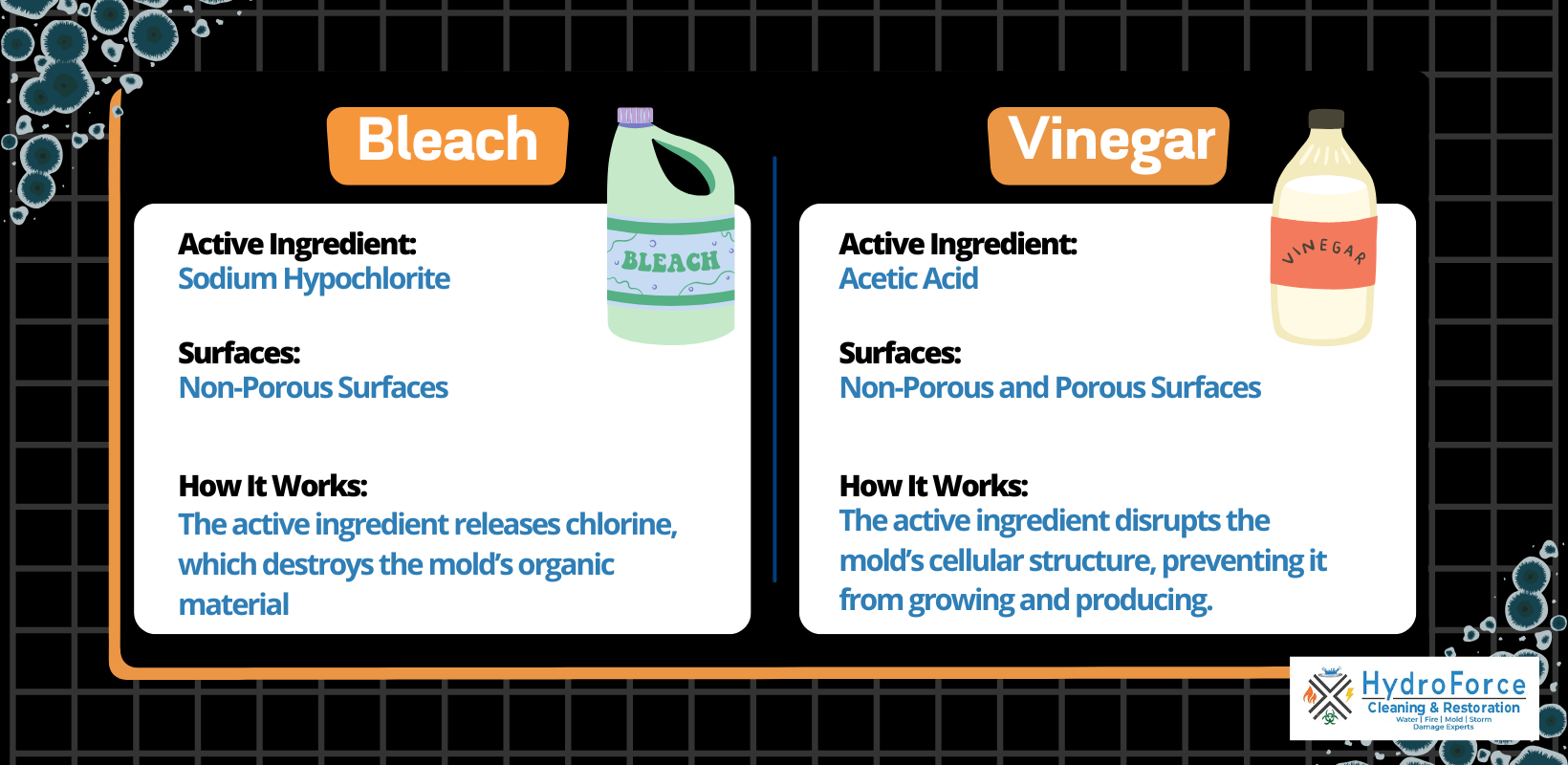 Bleach vs. Vinegar for Killing Mold - HydroForce Cleaning & Restoration