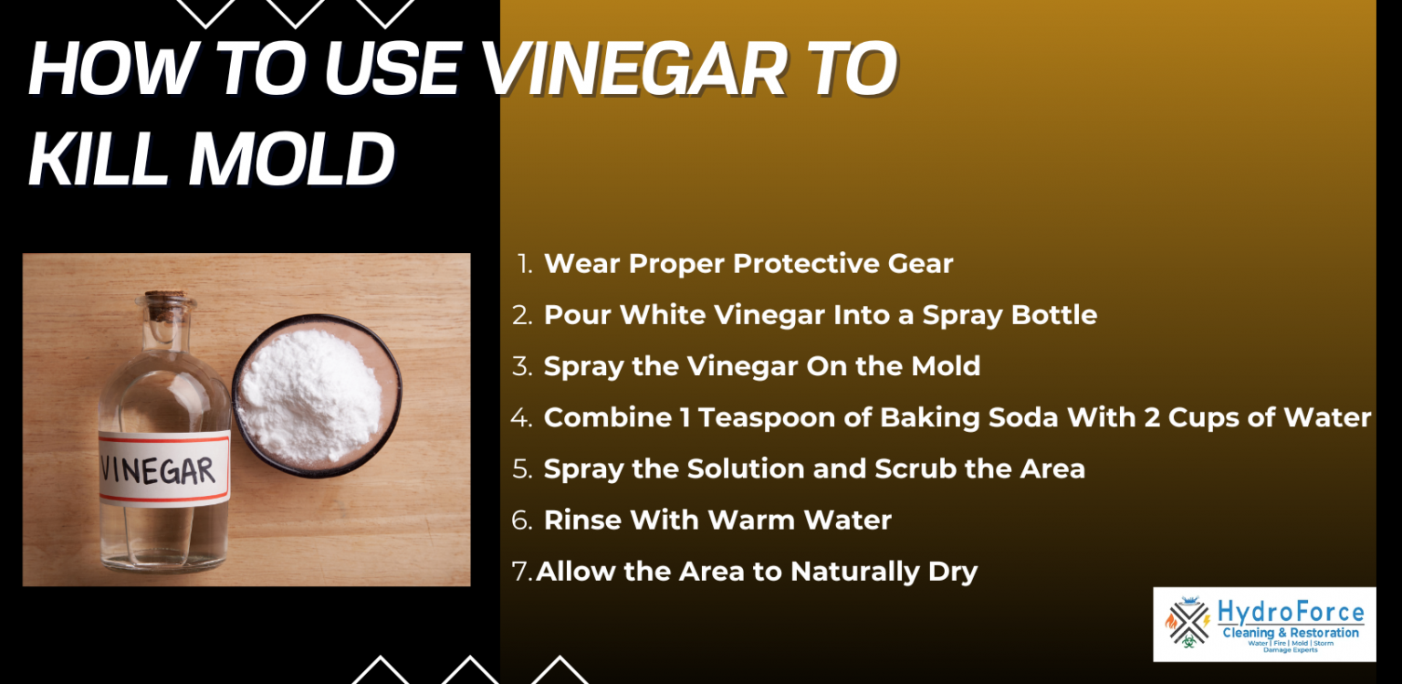 Is Bleach or Vinegar Better for Killing Mold? Safe & Effective Tips