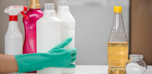 Is Bleach or Vinegar Better for Killing Mold? - HydroForce Cleaning & Restoration