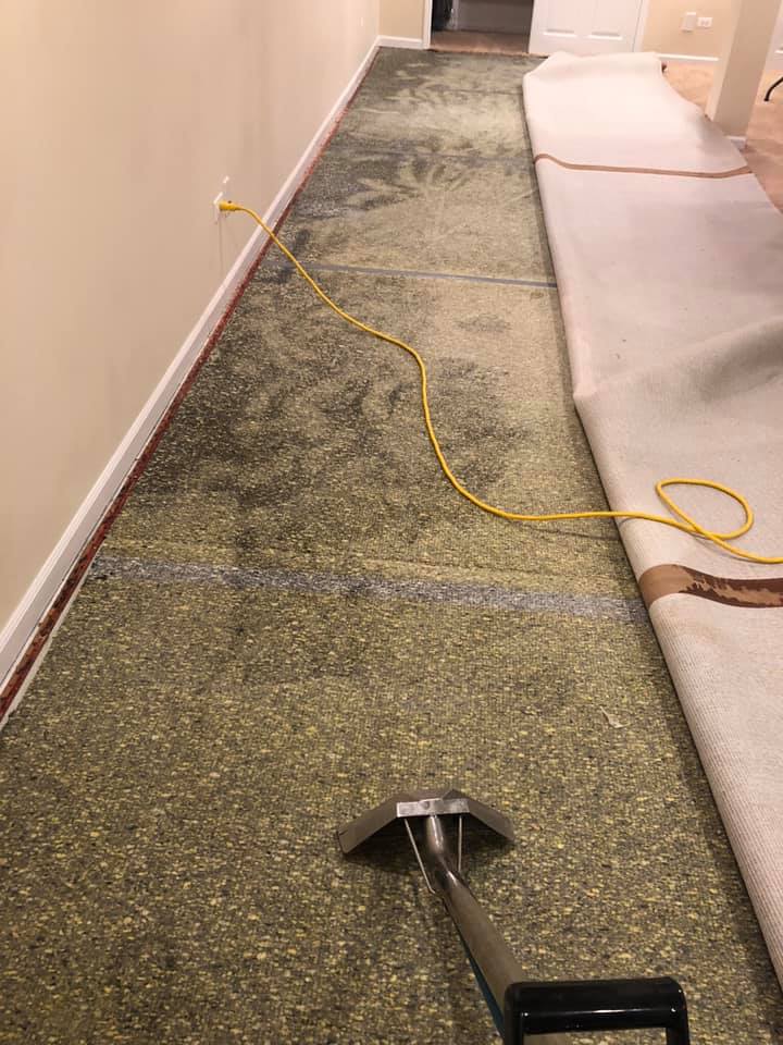 mold removal by HydroForce Cleaning & Restoration