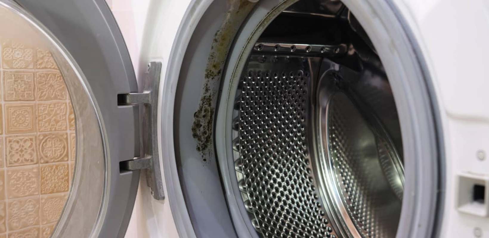 Mold Growth on Washing Machine Gasket - HydroForce Cleaning and Restoration