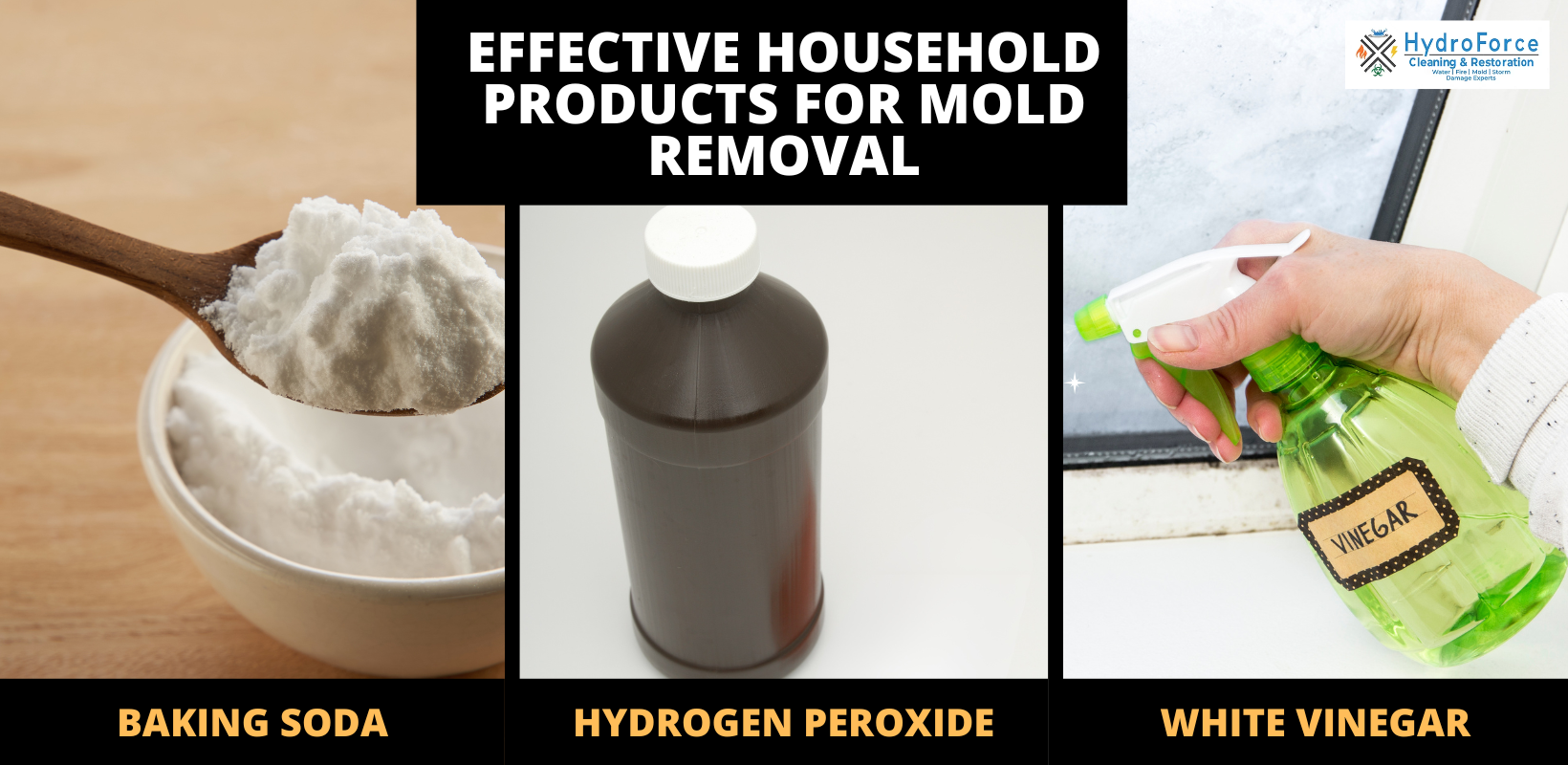 How to Remove Mold from Wood - HydroForce Cleaning and Restoration