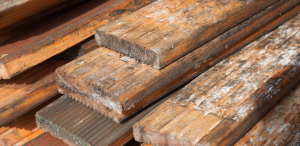 Mold on Hardwood Floors - HydroForce Cleaning and Restoration