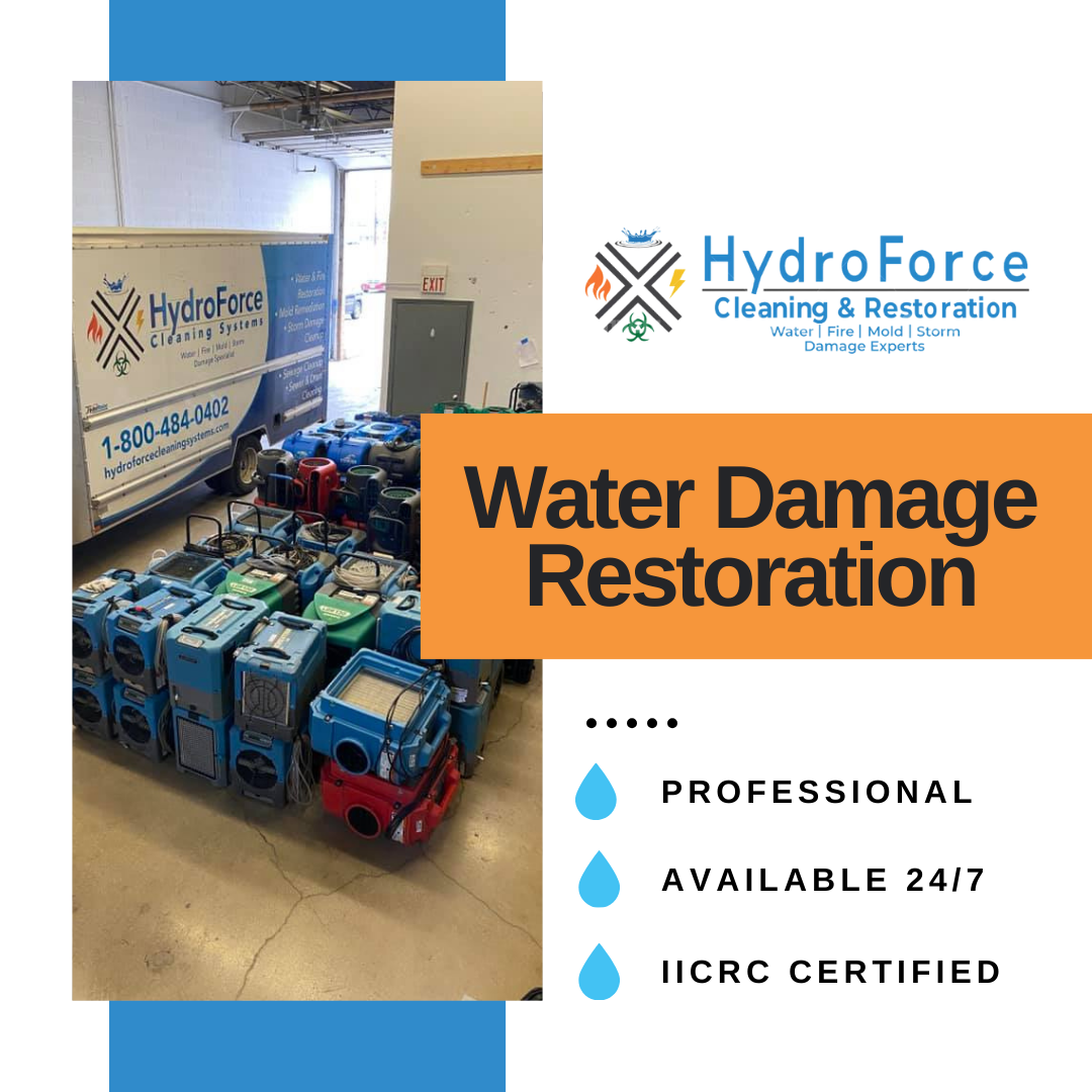 HydroForce Cleaning & Restoration photo