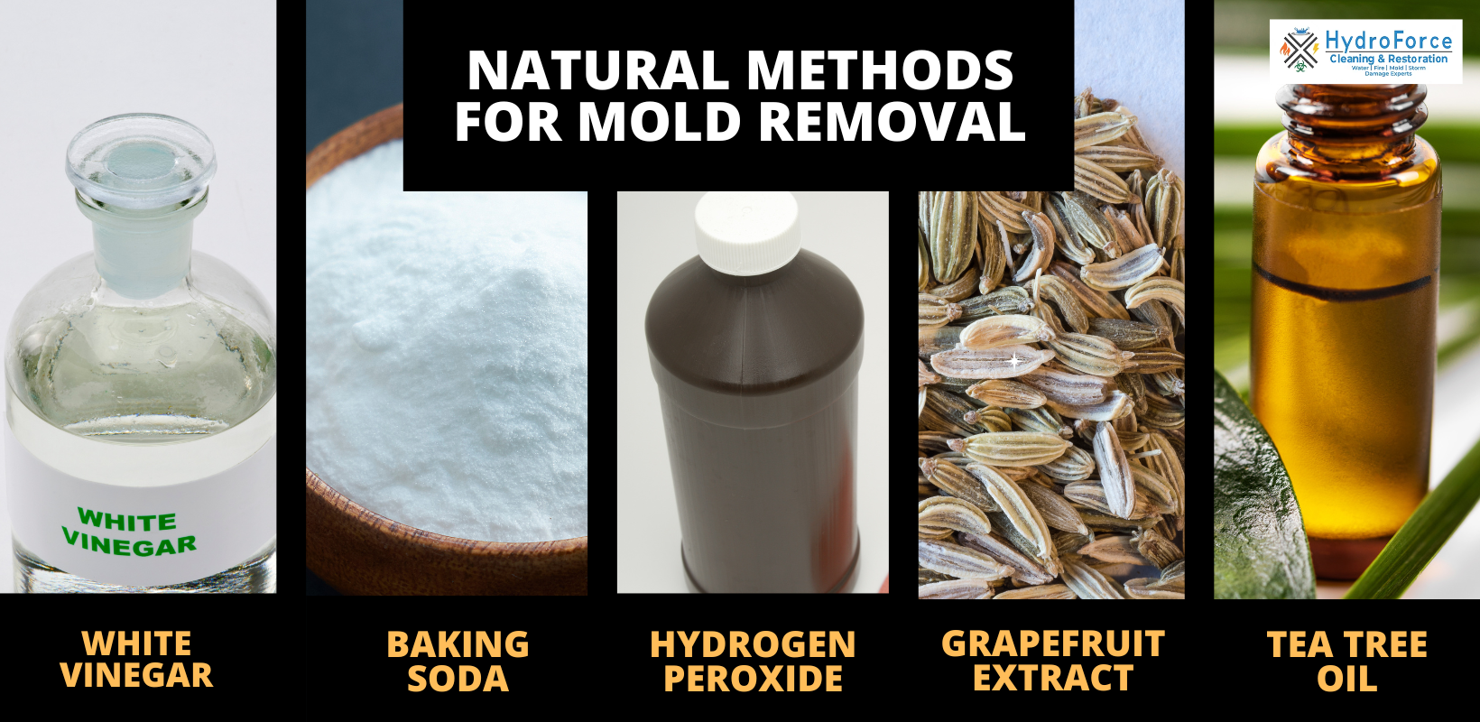Natural Methods to Remove Mold - HydroForce Cleaning and Restoration