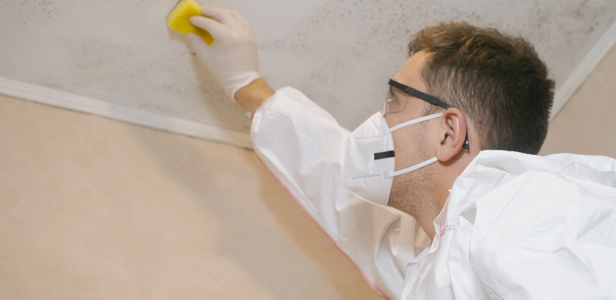 Natural Mold Removal Methods - HydroForce Cleaning and Restoration