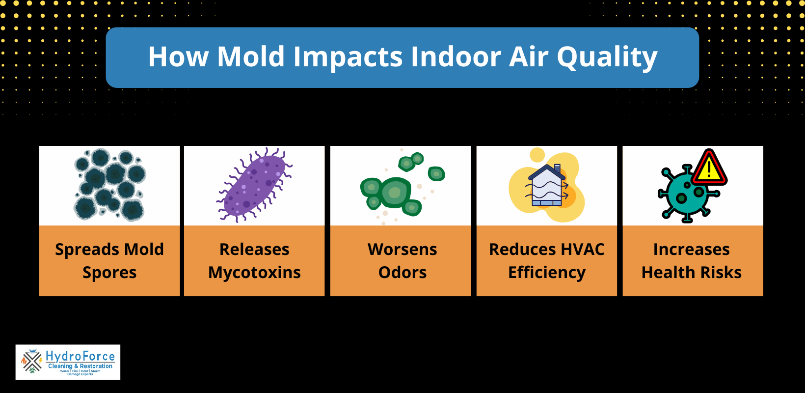 How Mold Impacts Indoor Air Quality - HydroForce Cleaning and Restoration