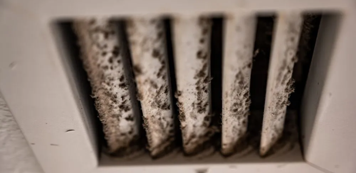 Mold In Air Ducts and Your Indoor Air Quality - HydroForce Cleaning and Restoration