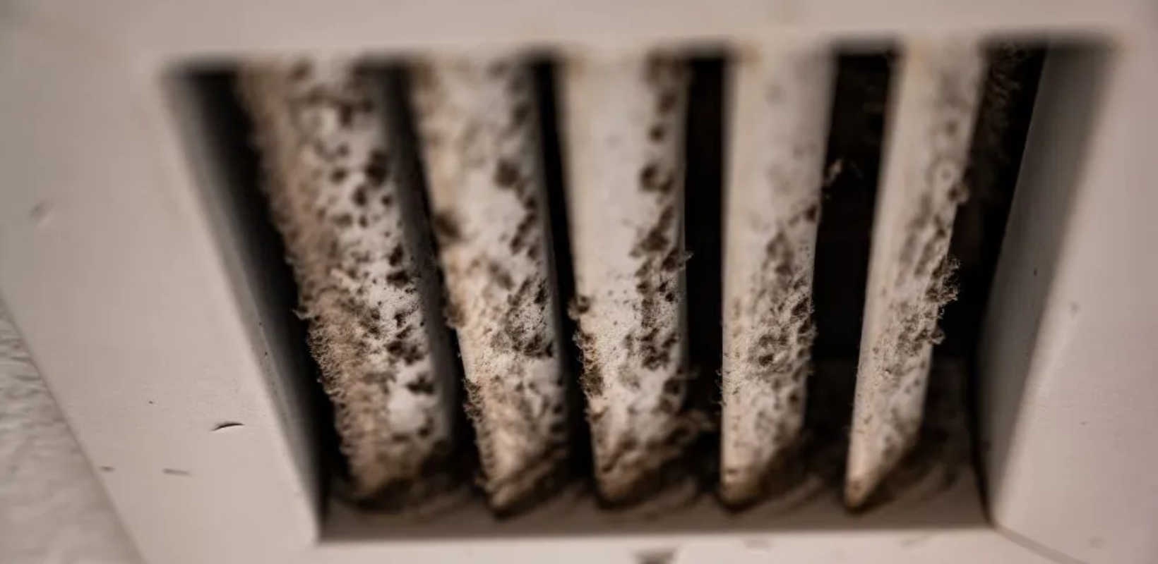 Mold in Air Ducts: How It Impacts Your Home’s Air Quality