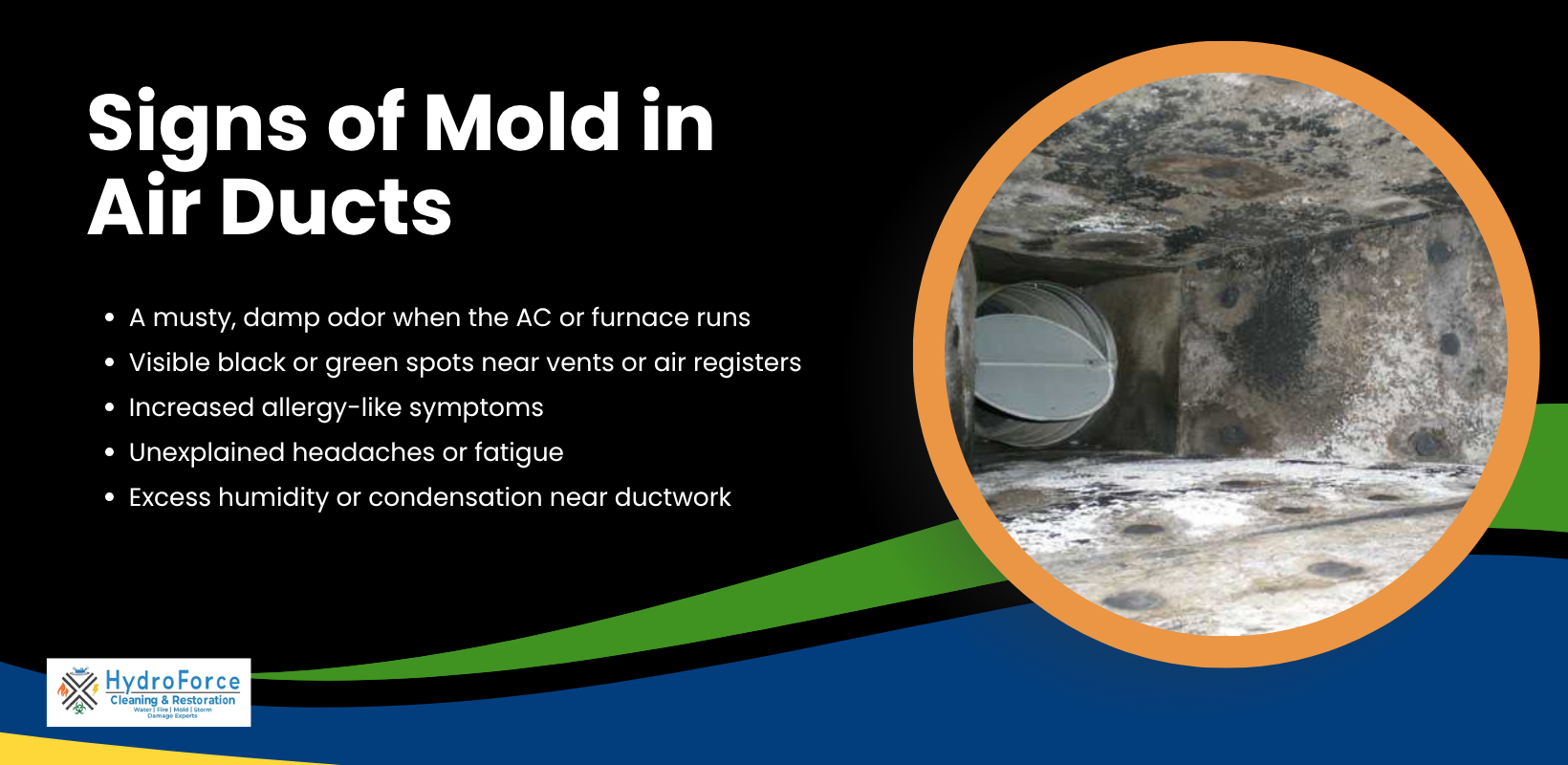 Signs of Mold Growth in Your Air Ducts - HydroForce Cleaning & Restoration