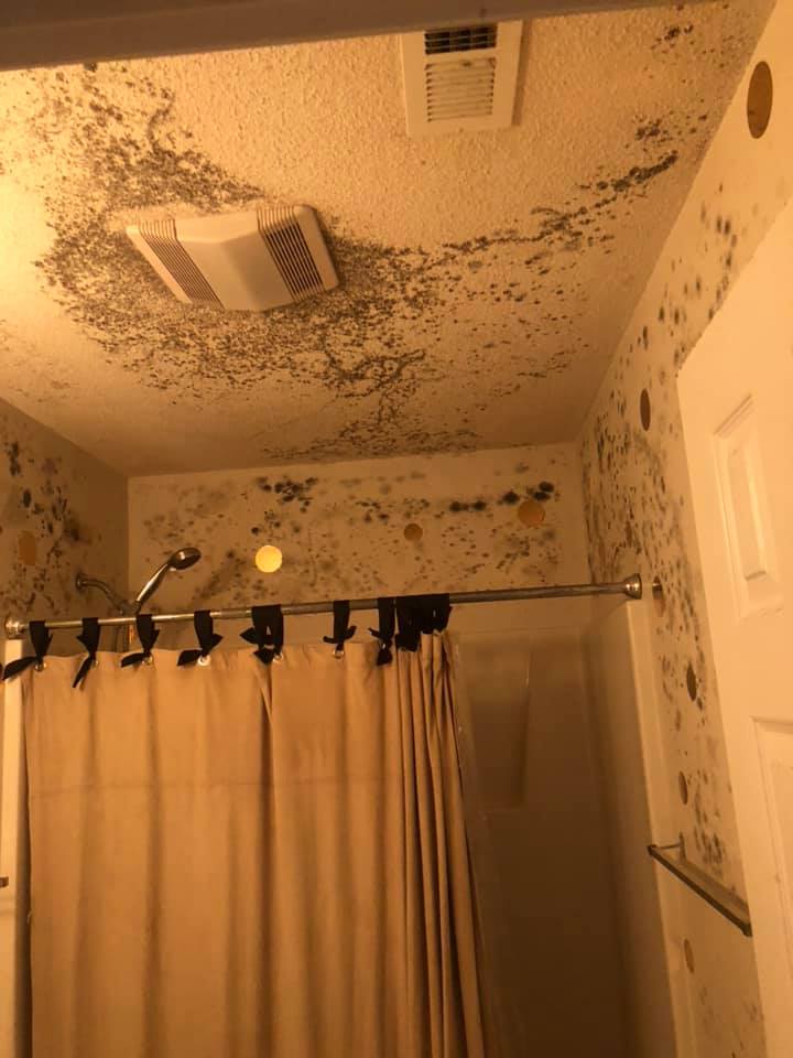 Mold Removal in Burbank, IL - HydroForce Cleaning and Restoration