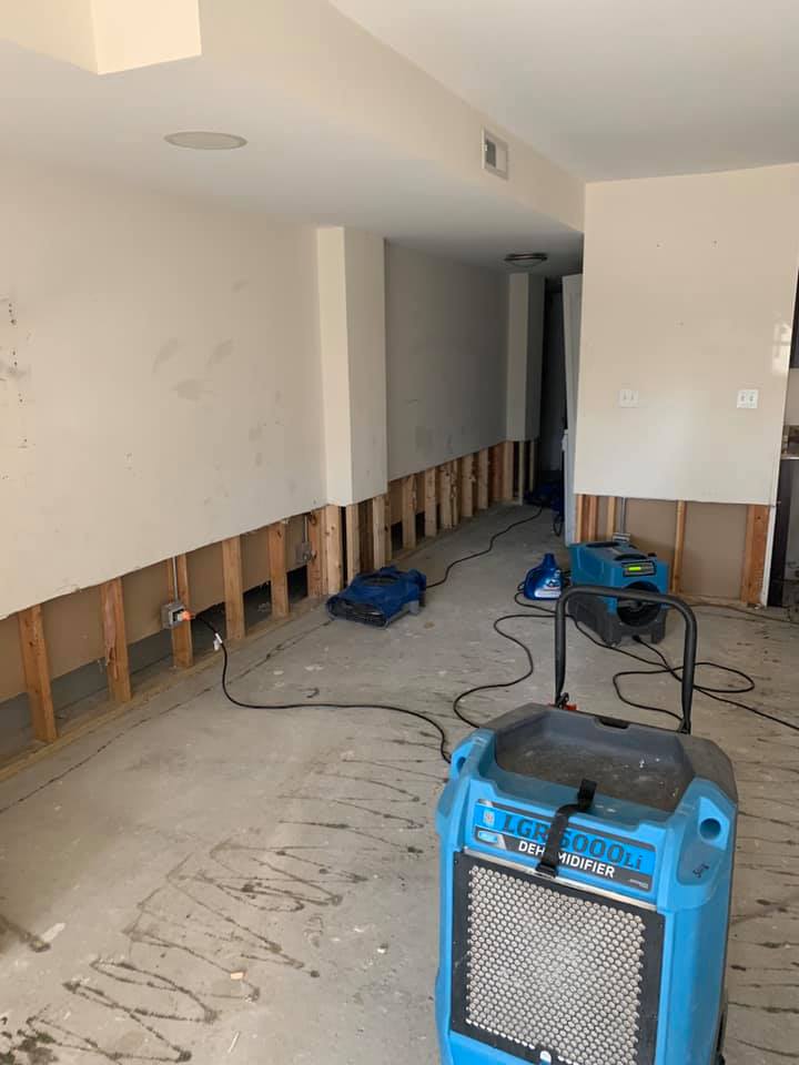 Mold Removal in Cicero, IL - HydroForce Cleaning and Restoration