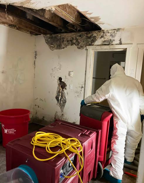 Mold Remediation in Orland Park, IL - HydroForce Cleaning and Restoration