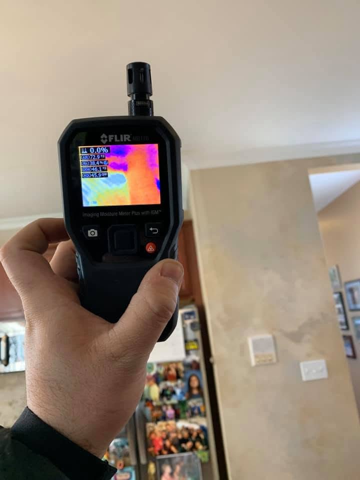 Commercial Mold Remediation Services in Chicago, IL - HydroForce Cleaning and Restoration