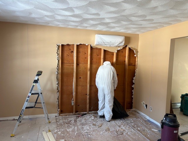 Mold Remediation in Hickory Hills, IL - HydroForce Cleaning and Restoration