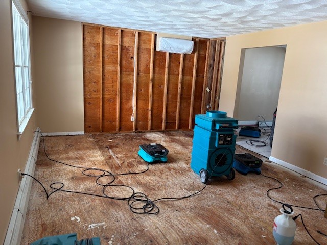 Mold Remediation in Hickory Hills, IL - HydroForce Cleaning and Restoration