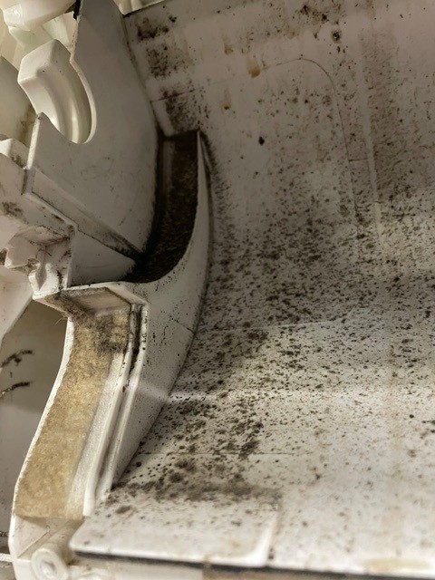 Mold Remediation in Orland Park, IL - HydroForce Cleaning and Restoration