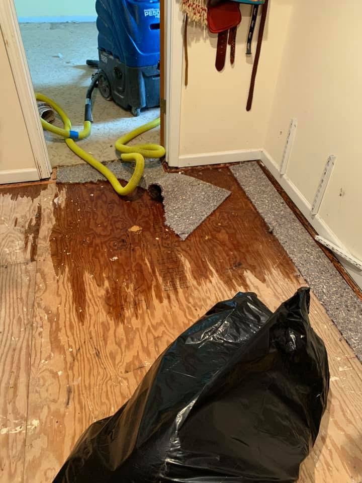 Water Damage Restoration in Homer Glen, IL - HydroForce Cleaning and Restoration