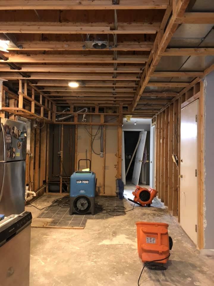 Mold Remediation in Hickory Hills, IL - HydroForce Cleaning and Restoration