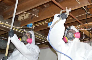 Mold-Remediation-Gallery-1